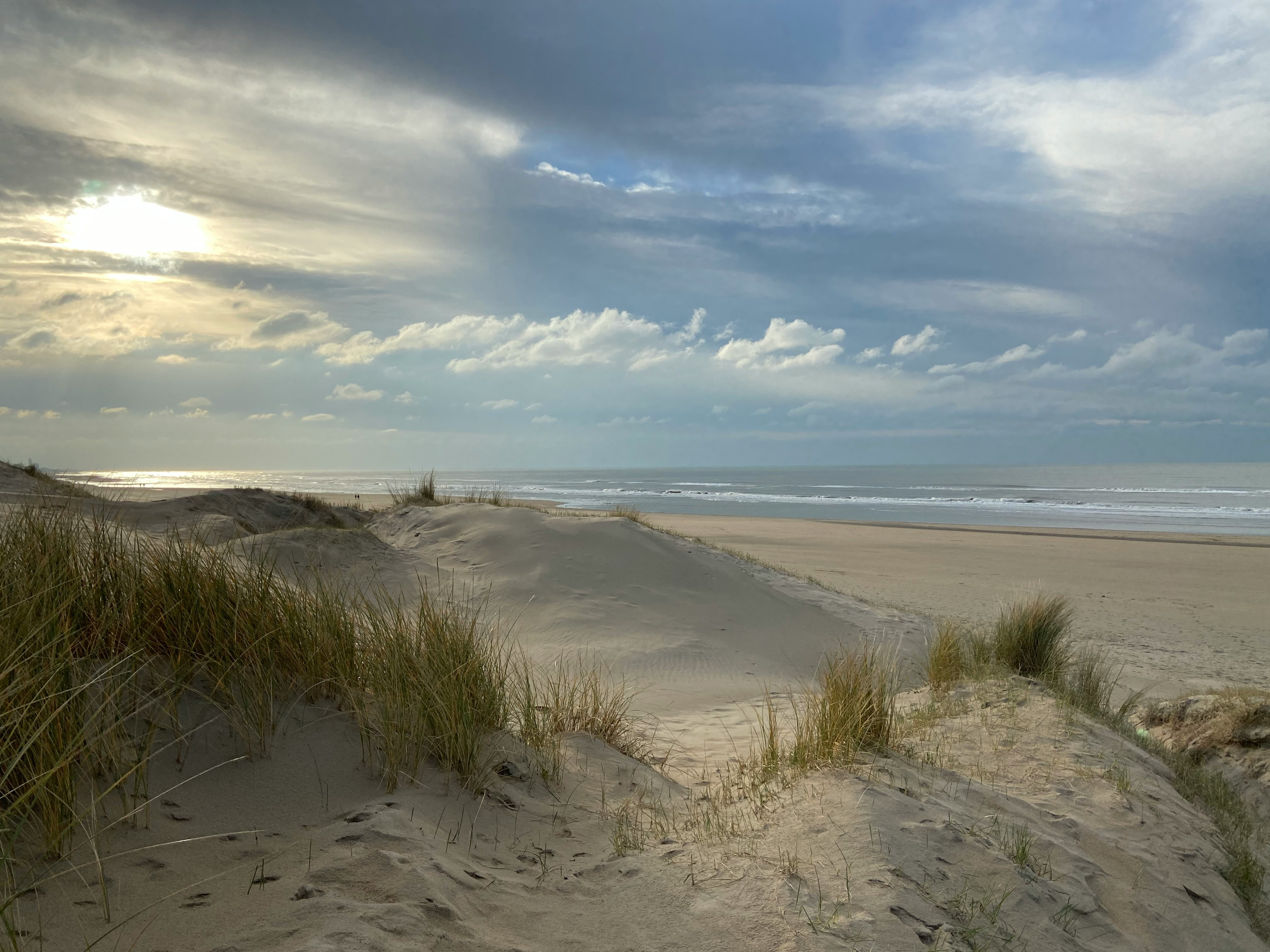 Breathtaking aerial view of a paradise beach - Discover coastal beauty with BeachPilot